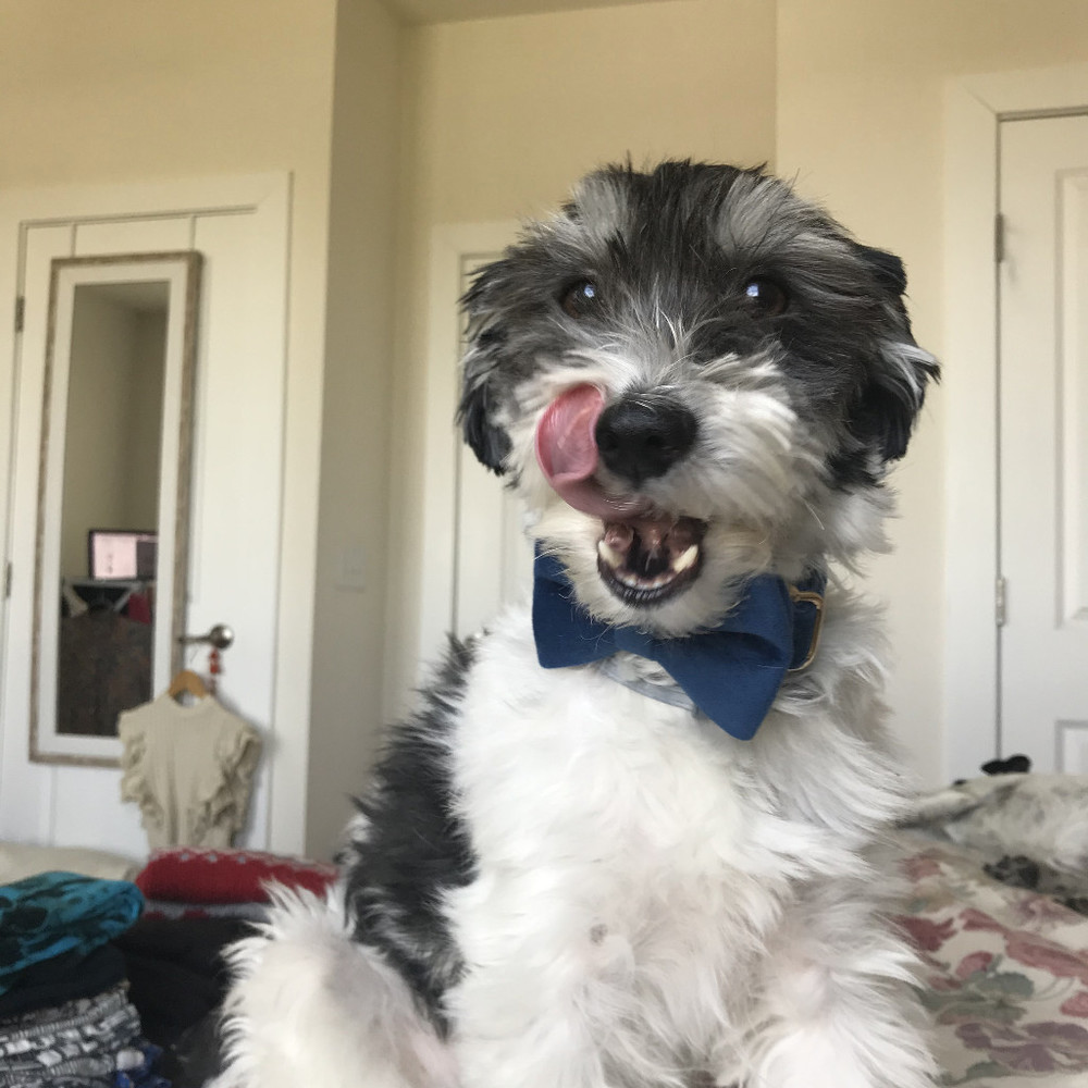 Meet your Posher, Katherine